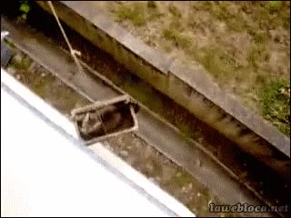 Edificio,Gato,Ascensor,Elevador,Subir,Cesta,Cuerda