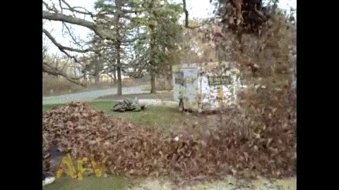 Hojas Secas,Oto&ntilde;o,Divertir,Jugar,Ni&ntilde;o,Monta&ntilde;a,Recogidas,Reoger