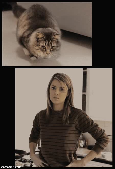Dueña,Chica,Mover,Gato,Cuerpo,Inexpresiva,Movimiento