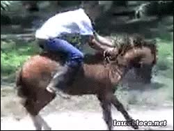 fail,al suelo,potrillo,potro,caballo,tio,caerse,caer,caida