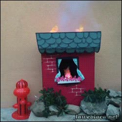 coche,caseta,fuego,perro bombero,incendio,bombero,perro