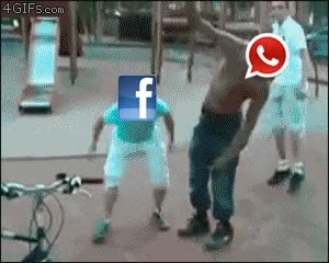 knockout,Pelea,Whatsapp,Facebook,KO,al suelo