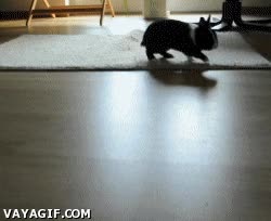 suelo,lava,salto,saltar,alfombra