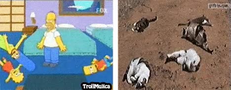 adivinando el futuro,parecidos,animales,suelo,tirar,los simpson,gato