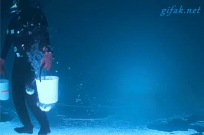 densidad,mar,cubos,llevar,bucear,oc&eacute;ano,agua,l&oacute;gica