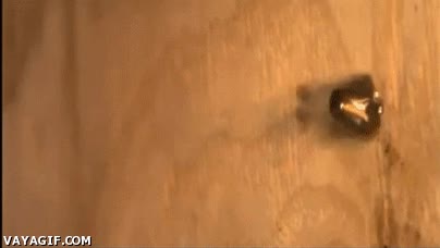 disparar,clavo,martillo,slow motion