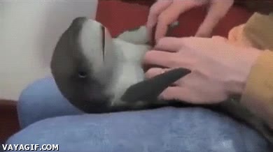 mascota,tibur&oacute;n,&iquest;qui&eacute;n es mi peque&ntilde;&iacute;n?,efectos especiales,&iquest;qui&eacute;n es mi ni&ntilde;o?