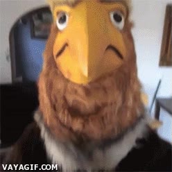 suicidio,volar,frustraci&oacute;n,universo paralelo,disfraz,flappy bird