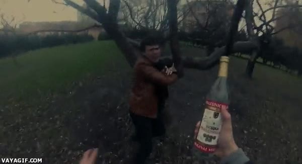 vicio,perseguir,alcohol,botella,vodka,empieza el finde!
