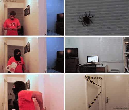 ara&ntilde;a,habitaci&oacute;n,cerrar,puerta,perder de vista,peligro,acordonada