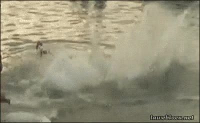 Enlace a ¡Ahí os quedáis con vuestra estúpida fiesta! ¿Para ir a la India por dónde es?