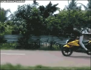 fail,empotrarse,imitar,moto,furgoneta,caballito inverso,evitar accidente