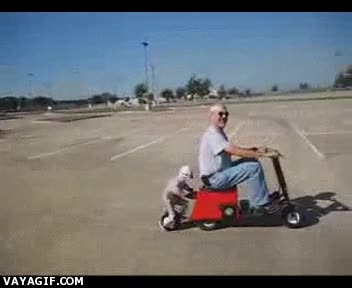 Anciano,Moto,Correr,Ni&ntilde;o,Empujar,Mu&ntilde;eco,Enano