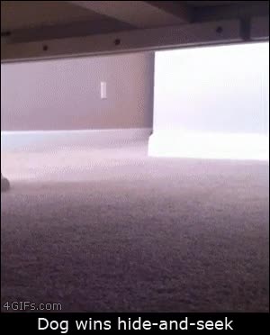 imposible de vencer,escondite,esconder,buscar,ha ganado,ganar,debajo de la cama