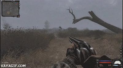 S.T.A.L.K.E.R.,salto,mutante,juego,dif&iacute;cil,saltar,inesperado,susto