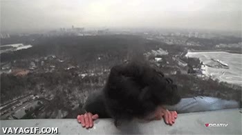 ruso,sin miedo,edificio,alturas,valiente,temerario,colgar,azotea,cornisa