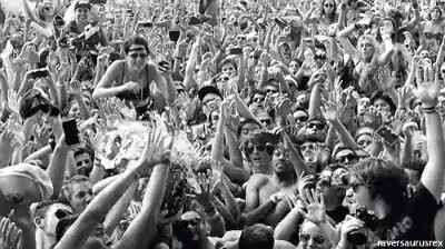 Steve Aoki,pastel,en tu cara,headshot,vaya desperdicio,como una cabra,cumplea&ntilde;os