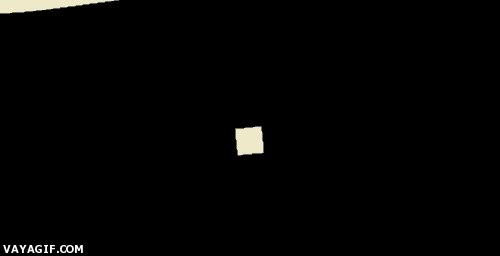 efecto optico,mareo,girar,agua,pez,triangulo,cuadrado,blanco y negro