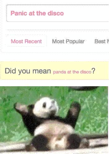 panic at the disco,panda,did you mean