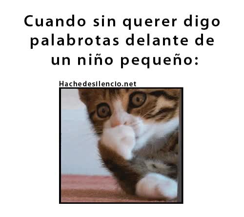 gato,taparse,boca,palabrota,niño pequeño,sin querer,taco