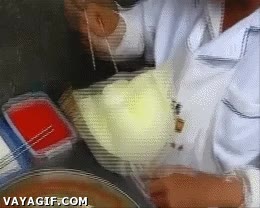 flores,algodón de azúcar,artesanías,artesano