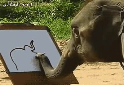 elefante,talento,dibujar,arte,pintor,animal,lienzo,pincel