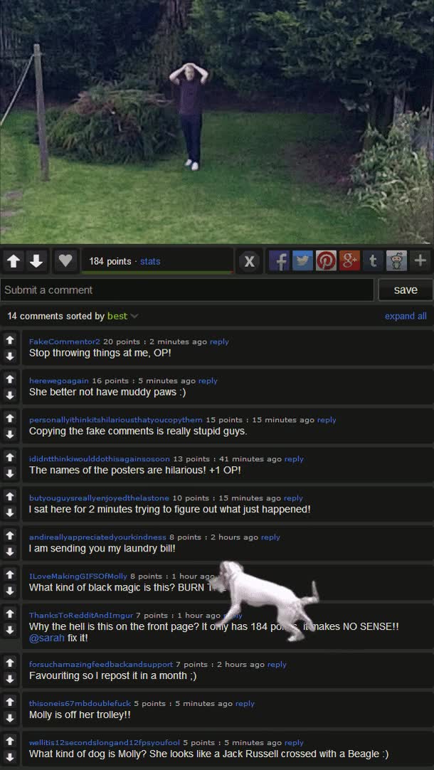 muñeco,perro,amo,juego,3d,tirar,jugar,traer,comentarios