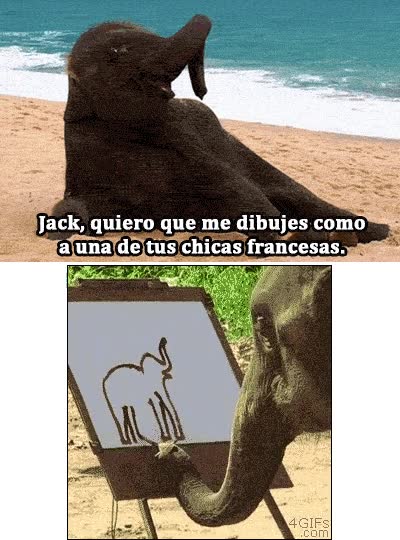 elefante,dibujar,pintar,posar,titanic,rose elephant,chicas francesas