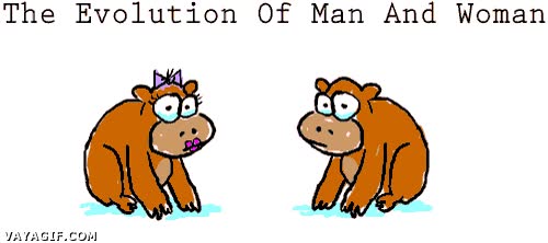 evolución,células,mitocondrias,mono,gorila,platano,hombres,mujeres