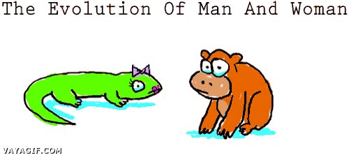 venganza,justicia,la otra cara,mujeres,hombres,evoluci&oacute;n,creo que os est&aacute; llamando lagartas