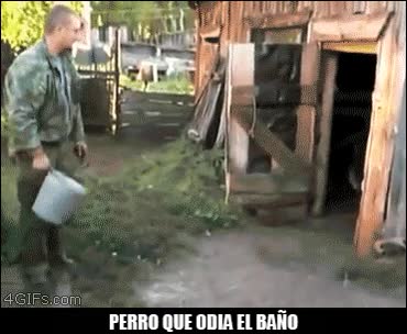 huir,agua,cubo,perro,escapar,gustar,no gustar,baño,bañare,cerrar puerta