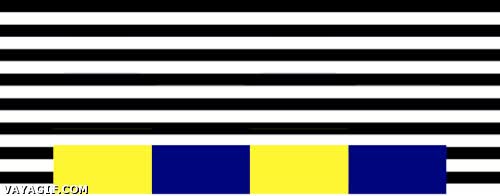 brain explosion,cuadrados,lineas blancas y negras