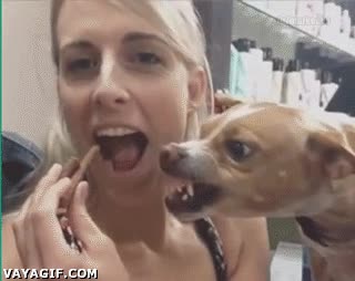 comer,perro,ense&ntilde;ar los dientes,barrita,hambre