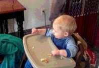 gato,galleta,comer,robar,beb&eacute;,ni&ntilde;o