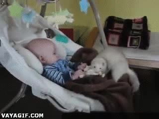 mecedora,robar,huron,quitar,peluche,mu&ntilde;eco,bebe