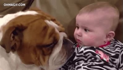 bebé,perro,lengua,susto,mono,lameton