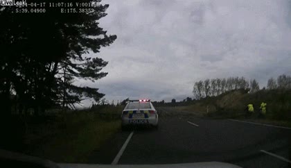 caer,árbol,limpiar,fail,policias,tronco,encima,coche