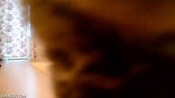 C&aacute;mara,T&iacute;a,Yoga,Gato,Chica,En medio,Tapar