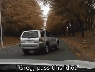 Coche,Camioneta,Transporte,Conducir,Perro