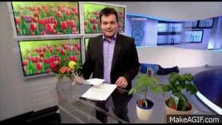ninja,televisión,disimular,agente secreto,esconder