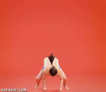 comercial,absurdo,sumo,volar,bello,ha evolucionado!,con alas como las compresas