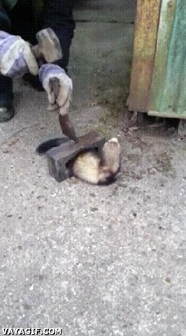 romper,cincel,hur&oacute;n,atrapado,ladrillo,atascado