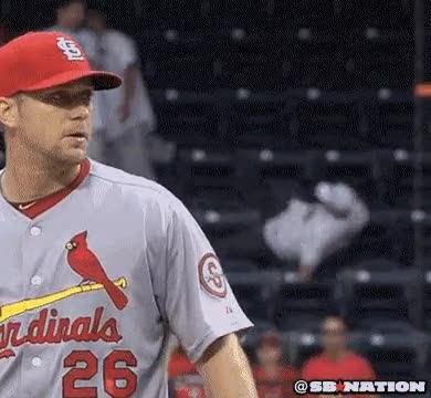 pelota,lanzar,baseball,torpe,beisbol,caer,grada,publico