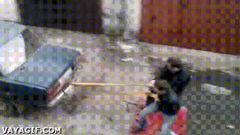 Coche,Subnormales,Jugar,Fail,Dolor,Surf,Asfalto ski,Cuerda