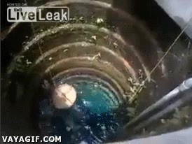 gato,escalar,pozo,atrapado,rescate,huir