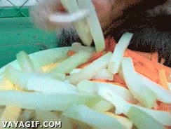 perezoso,vago,esfuerzo,comida,fruta,a la mierda,comer