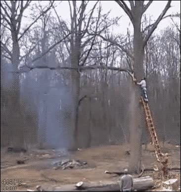 Fail,Ca&iacute;da,Accidente,Cortar,Rama,&Aacute;rbol,Madera,Sierra electrica