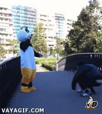 Oso,Panda,Pelea,Empujar,Caer,Al agua,Disfraz,Puente,Tirar