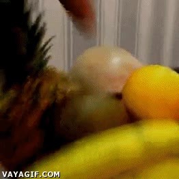 hambre,servir,frutas,calvo,coco