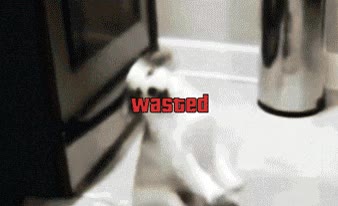 muerte,gta v,wasted,perro,camara lenta,blanco y negro